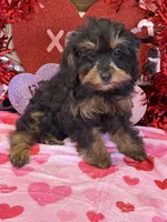 processed/f4f8128a-6f0a-4d8b-b482-1fb87e33d0db/listing/e2ace50d-6da7-464b-974f-4f3d7cb352be/eaf28c8d-1f12-4320-bc00-402776d58fd4