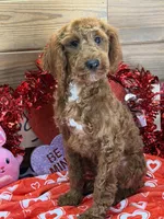 processed/f4f8128a-6f0a-4d8b-b482-1fb87e33d0db/listing/e3f9eae3-4803-430b-9fa1-d8fad792129c/0d1c2bad-d6d2-4a76-8d61-cad8365820ce