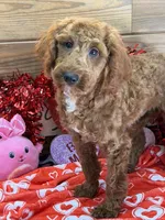 processed/f4f8128a-6f0a-4d8b-b482-1fb87e33d0db/listing/e3f9eae3-4803-430b-9fa1-d8fad792129c/9a120c62-0ebd-4bcf-89af-3b57366328f2