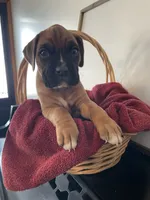 processed/f50244ef-4d01-44dc-9322-e127aaa53217/listing/0dcbe74b-2eb8-48cc-8faa-dbc458372b50/24bf0b40-2307-40de-81f6-13f6ab732533