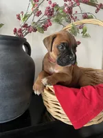 processed/f50244ef-4d01-44dc-9322-e127aaa53217/listing/0dcbe74b-2eb8-48cc-8faa-dbc458372b50/356c6c2b-25ef-46f8-96e9-5b4cdf2f7ff4