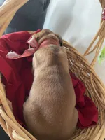 processed/f50244ef-4d01-44dc-9322-e127aaa53217/listing/0dcbe74b-2eb8-48cc-8faa-dbc458372b50/964ee2af-6831-4d7b-8596-c91a8c77fe16