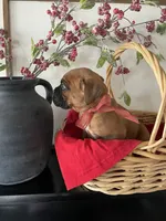 processed/f50244ef-4d01-44dc-9322-e127aaa53217/listing/0dcbe74b-2eb8-48cc-8faa-dbc458372b50/b3c3fec8-a74d-447d-bb01-7fcb94666a22