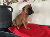 processed/f50244ef-4d01-44dc-9322-e127aaa53217/listing/0dcbe74b-2eb8-48cc-8faa-dbc458372b50/c9a82597-6b43-48a6-b3aa-d03c198fa629