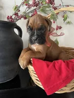 processed/f50244ef-4d01-44dc-9322-e127aaa53217/listing/0dcbe74b-2eb8-48cc-8faa-dbc458372b50/d7b4246a-13fe-4c65-97fc-60a84d9725c1