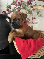 processed/f50244ef-4d01-44dc-9322-e127aaa53217/listing/0dcbe74b-2eb8-48cc-8faa-dbc458372b50/fed97192-b39c-4119-ad2b-d66674304a67