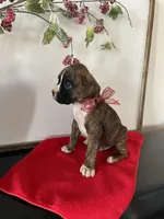 processed/f50244ef-4d01-44dc-9322-e127aaa53217/listing/22836377-d8f6-473e-91fb-2ce8aa2a7bc4/0291ae92-ffa9-4673-b390-5701f493af7d