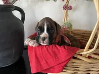 processed/f50244ef-4d01-44dc-9322-e127aaa53217/listing/22836377-d8f6-473e-91fb-2ce8aa2a7bc4/2a618af4-33ce-41ed-aa5b-34baa31ec8c2