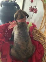 processed/f50244ef-4d01-44dc-9322-e127aaa53217/listing/22836377-d8f6-473e-91fb-2ce8aa2a7bc4/348bb22e-8b3f-48b7-9d9c-5ad84fa302e8