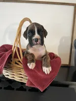 processed/f50244ef-4d01-44dc-9322-e127aaa53217/listing/22836377-d8f6-473e-91fb-2ce8aa2a7bc4/37a35698-18b9-4f57-94f8-9536cb168bdb