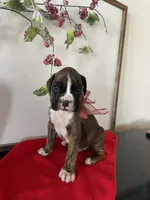 processed/f50244ef-4d01-44dc-9322-e127aaa53217/listing/22836377-d8f6-473e-91fb-2ce8aa2a7bc4/5e49e68d-c2d2-4463-bc10-719b2518d2f0