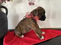 processed/f50244ef-4d01-44dc-9322-e127aaa53217/listing/22836377-d8f6-473e-91fb-2ce8aa2a7bc4/8d082435-f7c0-41e5-9947-856350ea6524