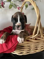 processed/f50244ef-4d01-44dc-9322-e127aaa53217/listing/22836377-d8f6-473e-91fb-2ce8aa2a7bc4/aa5e6e4b-5710-4623-b09d-792c294f437d