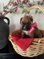 processed/f50244ef-4d01-44dc-9322-e127aaa53217/listing/805a802c-0033-468c-8009-26c742990e4a/04ee6856-18bb-4a1f-a8a0-035b791ced55