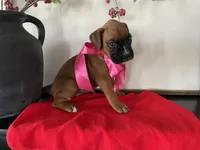 processed/f50244ef-4d01-44dc-9322-e127aaa53217/listing/805a802c-0033-468c-8009-26c742990e4a/26a6b1ca-70bb-4d2e-9ad7-724d31859b85