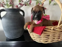 processed/f50244ef-4d01-44dc-9322-e127aaa53217/listing/805a802c-0033-468c-8009-26c742990e4a/27dae311-1732-455f-a7a7-84756807f8d4