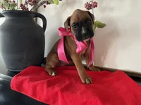 processed/f50244ef-4d01-44dc-9322-e127aaa53217/listing/805a802c-0033-468c-8009-26c742990e4a/2ec2302f-ccd2-4a63-a788-7af693066afa