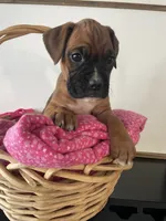 processed/f50244ef-4d01-44dc-9322-e127aaa53217/listing/805a802c-0033-468c-8009-26c742990e4a/63c93fe7-5010-433e-82ef-0047cec76a12