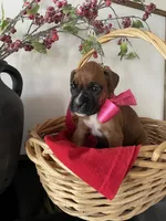 processed/f50244ef-4d01-44dc-9322-e127aaa53217/listing/805a802c-0033-468c-8009-26c742990e4a/b067269a-a398-4c11-864f-c7131dd281c7