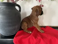 processed/f50244ef-4d01-44dc-9322-e127aaa53217/listing/805a802c-0033-468c-8009-26c742990e4a/e412649d-121b-406b-af05-92318e8d9352