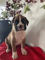 processed/f50244ef-4d01-44dc-9322-e127aaa53217/listing/aeb60cd2-92ef-4c6f-8f17-80384851c351/1f162e9a-9af2-4b13-a2a8-830f35e250eb