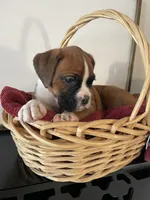 processed/f50244ef-4d01-44dc-9322-e127aaa53217/listing/aeb60cd2-92ef-4c6f-8f17-80384851c351/3bbfaade-bde1-4b44-ba83-e8ff5a0d94cb