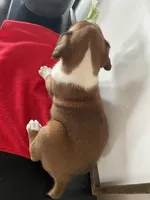 processed/f50244ef-4d01-44dc-9322-e127aaa53217/listing/aeb60cd2-92ef-4c6f-8f17-80384851c351/95405612-65f0-40e6-895e-b490da28a214