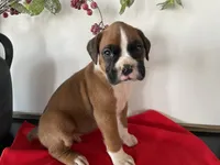 processed/f50244ef-4d01-44dc-9322-e127aaa53217/listing/aeb60cd2-92ef-4c6f-8f17-80384851c351/ad20eeed-b995-47c5-b114-00a0e919db35