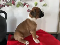 processed/f50244ef-4d01-44dc-9322-e127aaa53217/listing/aeb60cd2-92ef-4c6f-8f17-80384851c351/b78e30ad-6486-4a51-9538-6d50d8de1c53