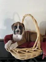 processed/f50244ef-4d01-44dc-9322-e127aaa53217/listing/aeb60cd2-92ef-4c6f-8f17-80384851c351/d04efb29-6f3d-488d-a6eb-5008436c6887