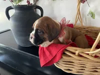 processed/f50244ef-4d01-44dc-9322-e127aaa53217/listing/aeb60cd2-92ef-4c6f-8f17-80384851c351/d795de20-ec4c-42c3-9be9-230caf913439