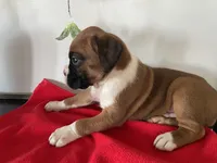 processed/f50244ef-4d01-44dc-9322-e127aaa53217/listing/aeb60cd2-92ef-4c6f-8f17-80384851c351/e3d3aa70-fe24-401b-aebc-bb7e5c23d517