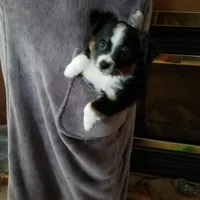 processed/f512a548-1724-405a-b18c-bba84a2c2286/facility/028f1002-dbab-4710-8f61-a8f9bfc7e2b7