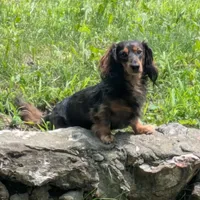 processed/f512a548-1724-405a-b18c-bba84a2c2286/facility/0d81db76-7f9d-4b06-861e-6d2689a8b107