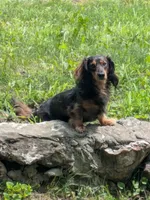 processed/f512a548-1724-405a-b18c-bba84a2c2286/facility/0d81db76-7f9d-4b06-861e-6d2689a8b107