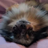 processed/f512a548-1724-405a-b18c-bba84a2c2286/facility/10d891d9-8e13-40e7-84e2-be79932bff50