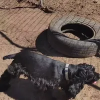 processed/f512a548-1724-405a-b18c-bba84a2c2286/facility/8b383270-67a3-4824-94ac-e4a04e1ecaa5