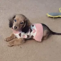 processed/f512a548-1724-405a-b18c-bba84a2c2286/facility/9e6c7265-68a2-4544-8eca-a44dcac9f1fe