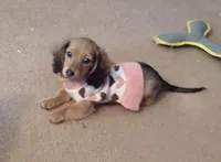 processed/f512a548-1724-405a-b18c-bba84a2c2286/facility/9e6c7265-68a2-4544-8eca-a44dcac9f1fe