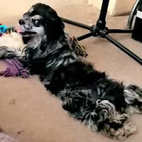 processed/f512a548-1724-405a-b18c-bba84a2c2286/facility/abf5cad3-2c56-4b4c-ae21-9ecbb88b0284