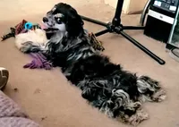 processed/f512a548-1724-405a-b18c-bba84a2c2286/facility/abf5cad3-2c56-4b4c-ae21-9ecbb88b0284