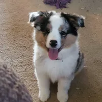 processed/f512a548-1724-405a-b18c-bba84a2c2286/facility/b12b9afc-4ac1-4910-8e59-fc9285135b8c