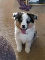 processed/f512a548-1724-405a-b18c-bba84a2c2286/facility/b12b9afc-4ac1-4910-8e59-fc9285135b8c