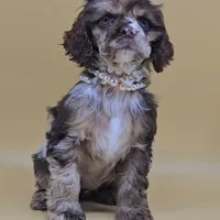 processed/f512a548-1724-405a-b18c-bba84a2c2286/facility/de9a88bd-31be-4ec3-9ca6-7ce6b44c1fcc