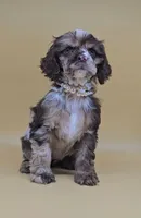 processed/f512a548-1724-405a-b18c-bba84a2c2286/facility/de9a88bd-31be-4ec3-9ca6-7ce6b44c1fcc