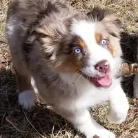 processed/f512a548-1724-405a-b18c-bba84a2c2286/facility/f1d2a5a7-4acb-45f9-8c3a-ea82ac559267