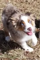 processed/f512a548-1724-405a-b18c-bba84a2c2286/facility/f1d2a5a7-4acb-45f9-8c3a-ea82ac559267