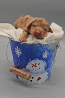 processed/f512a548-1724-405a-b18c-bba84a2c2286/listing/753ff157-9e44-4e5a-a6f3-7dacc97b94b1/055509a1-7d14-436a-8d26-7114fe3db26f