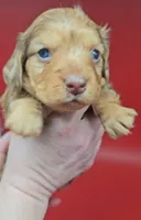 processed/f512a548-1724-405a-b18c-bba84a2c2286/listing/753ff157-9e44-4e5a-a6f3-7dacc97b94b1/4d060475-12bf-4716-8c36-2d2b9a836145