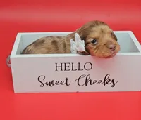 processed/f512a548-1724-405a-b18c-bba84a2c2286/listing/753ff157-9e44-4e5a-a6f3-7dacc97b94b1/780d7864-ca69-4571-9770-18639632e97d